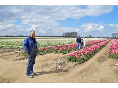 Natura sponsor Pieter Suy - bollenteelt, grond- en loonwerk