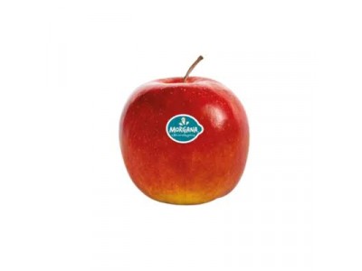 Natura Sponsor Belorta Fruitteelt Gino van Acker